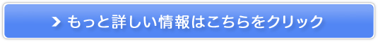 29 EgтX^C̔TCg